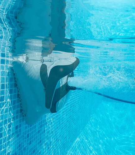 רובוט דולפין איזי קומפורט easy comfort